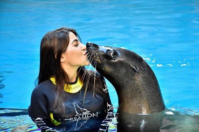 Nikki Tamboli dolphin