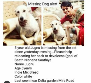PETA Jugnu dog missing