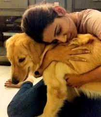 Sanjana Ganesan pet dog