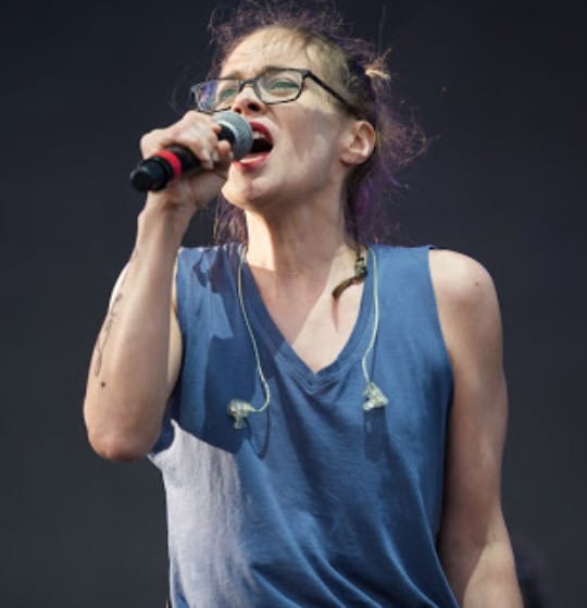 Fiona Apple Biography, Facts & Life Story BigNameBio