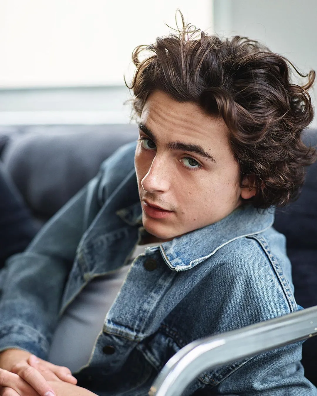Timothee Chalamet - Biography, Facts & Life Story - BigNameBio